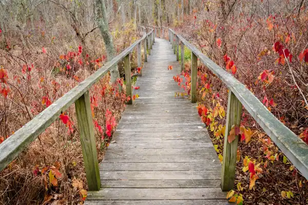 Maryland Shutterstock 2301959821