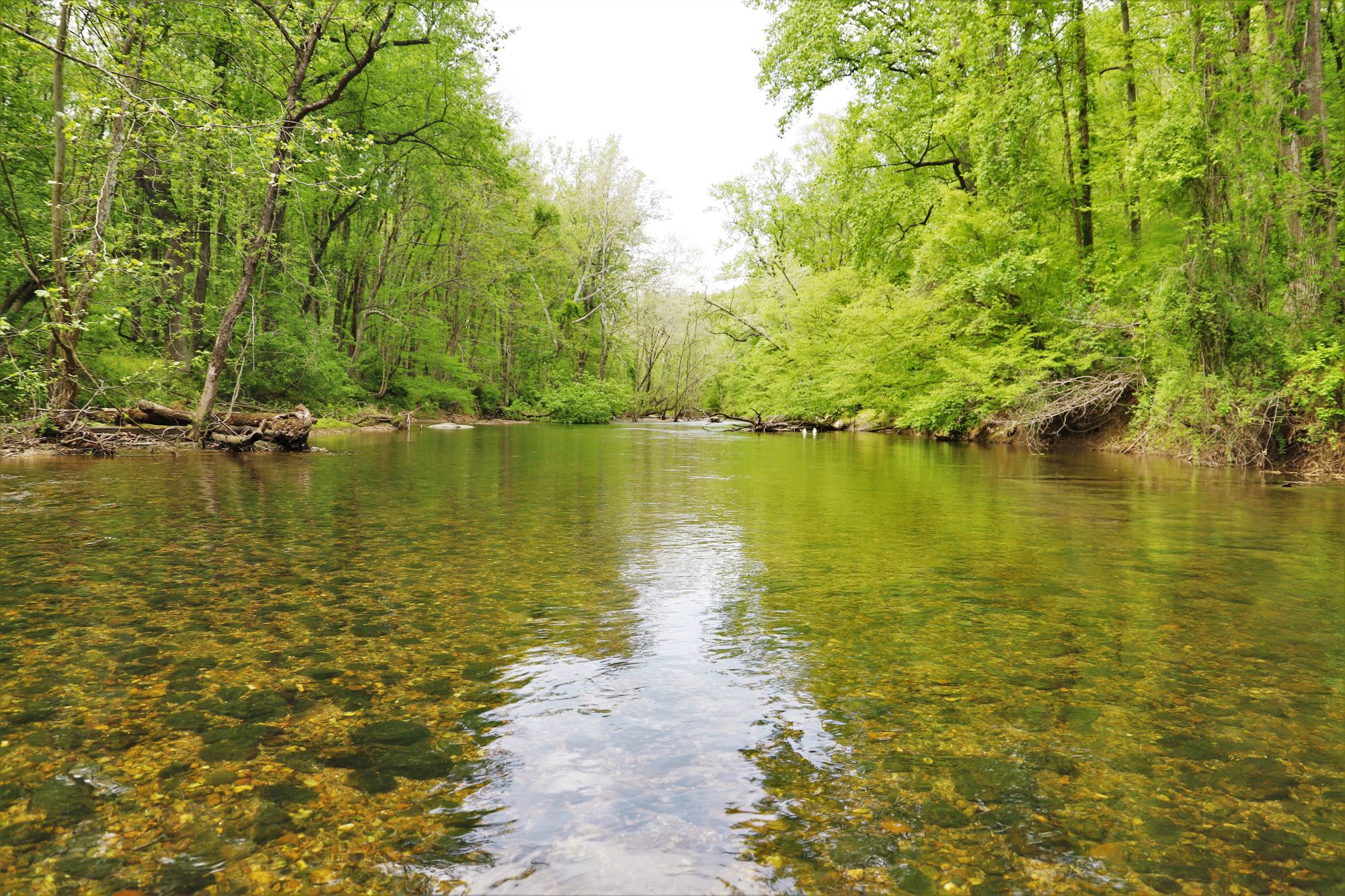 Patapsco River Shutterstock 1734871586