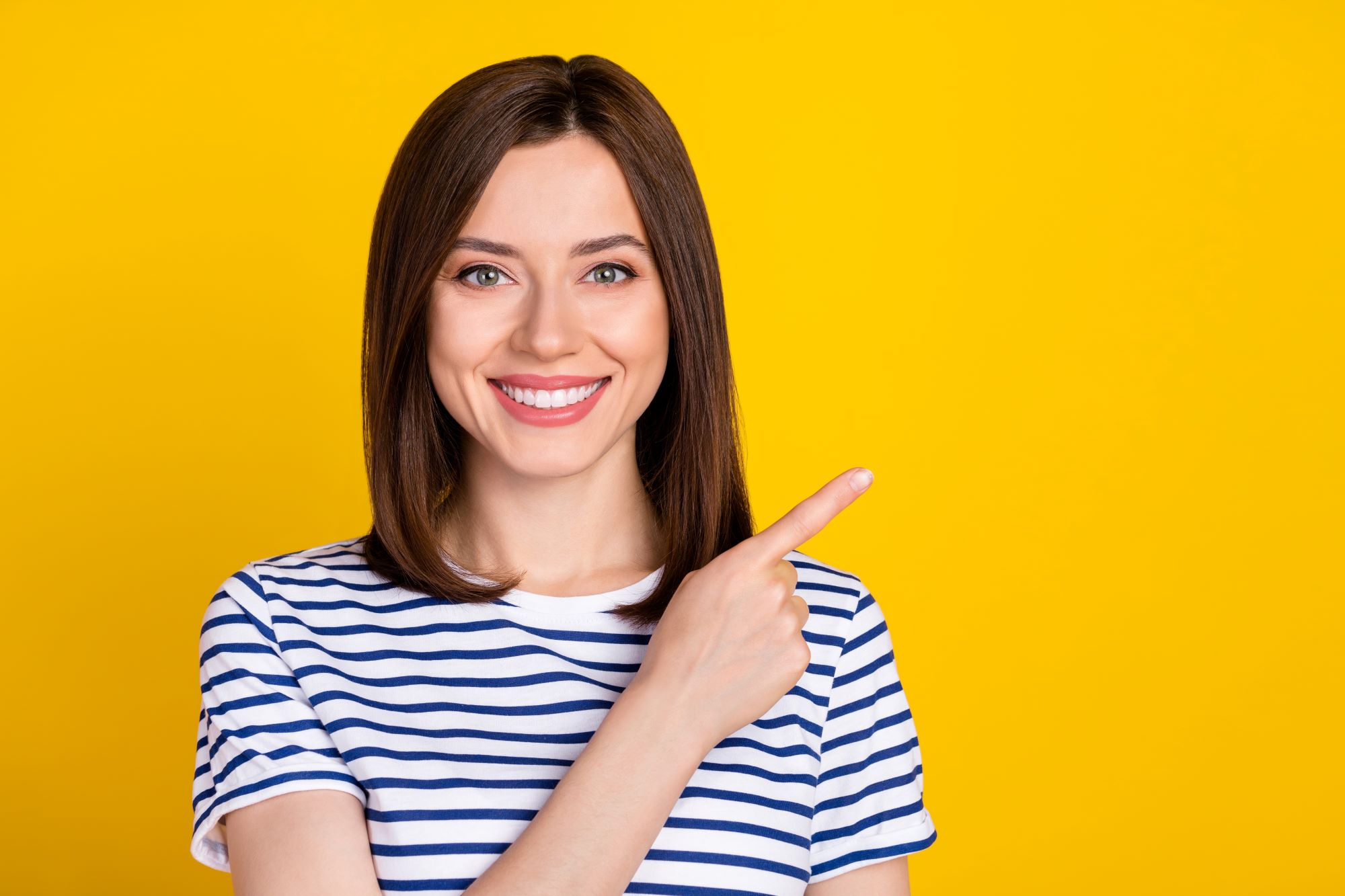 Pointer Shutterstock 2213678205